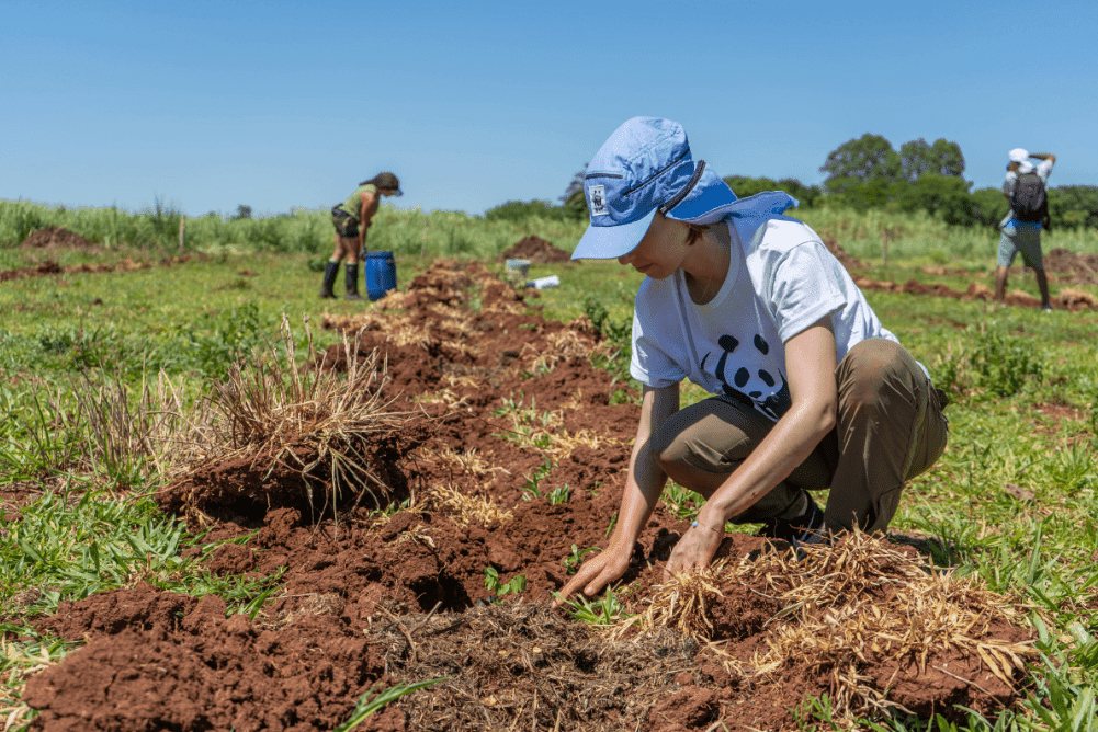 Help mee de Cerrado van het menu te halen
