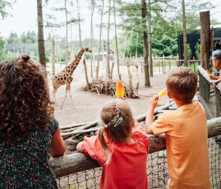 De Roos ❤️ Stichting Samen Lachen (Amsterdam)