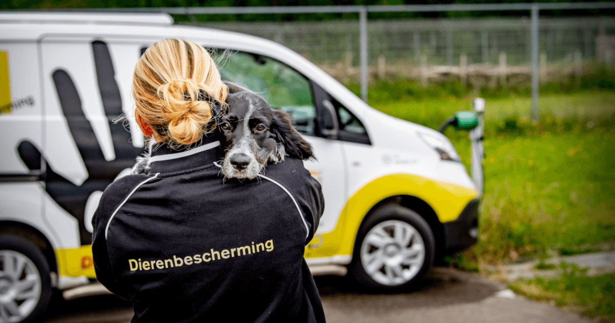Dierenbescherming: 2Ht zorgt ervoor!
