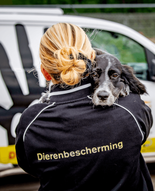 Wil je mij sponsoren voor Dierenbescherming?