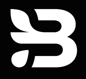 BRANCH Foundation logo